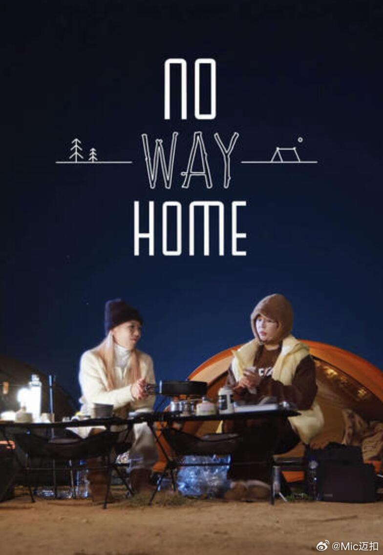 NO WAY HOME海报