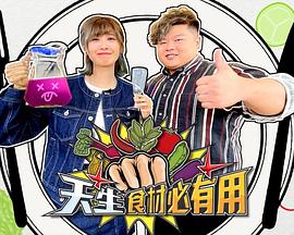 天生食材必有用粤语海报