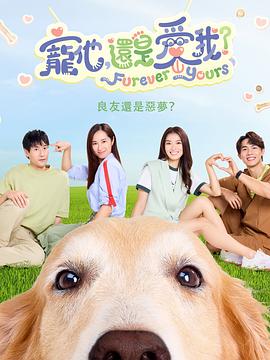 宠他,还是爱我?海报