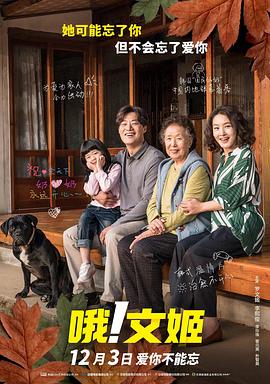 哦!文姬海报