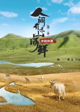 人间有味山河鲜第二季海报