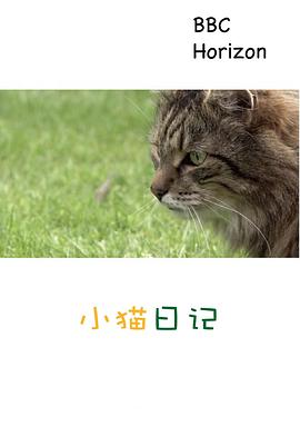 地平线系列:小猫日记海报